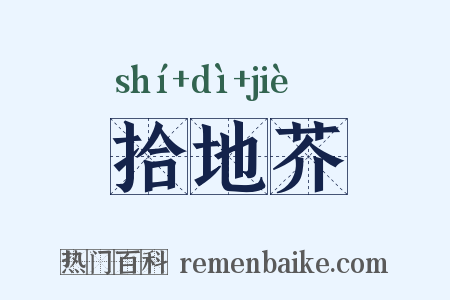 拾地芥是什么意思的图片